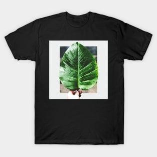 Rainforest Flora T-Shirt